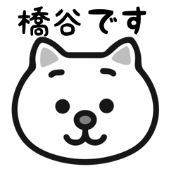 Hashitani white cats sticker