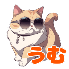 A cat wearing sunglasses and saying Hmm