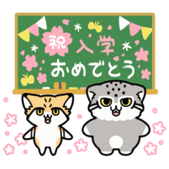 Loosely Manul cat16 spring