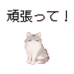Cat Pixel Art Sticker 4