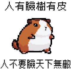 pixel party_8bit guinea pig3