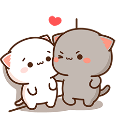 Peach Cat 6 (Revised Version)