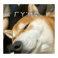 月瑩不愛生氣__