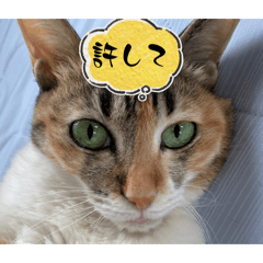 shunta hatanaka_20240312204307