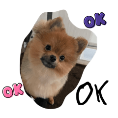 Yuka_20240312175420