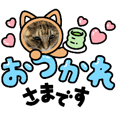 フーちゃんず - LINE スタンプ | LINE STORE