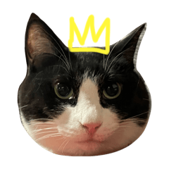 murakamisan_20240312225649