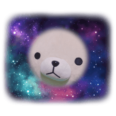 harumero_20240311174145