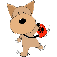 Every day with Yorkshire Terrier 1