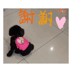 黑妹超Q動動貼圖（3）