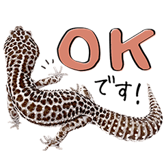 Leopard gecko's 2