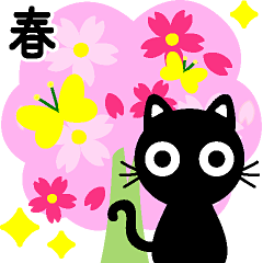 LOVE!!!Cute9-Black Cat-