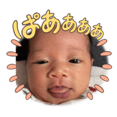 tsubaki_20240313182057