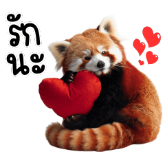 Be Friend Red Panda