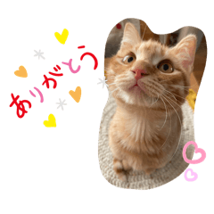 michiko_20240313191845