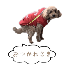 Yuka_20240313225202