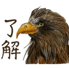 Kata kou_20240313182640