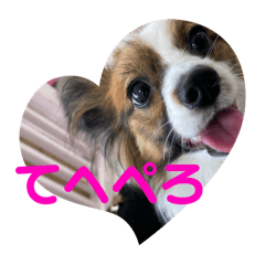 Tsubaki_20240313203148