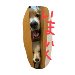 WAKAMATHU_20240313235944