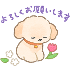 Toy poodle's spring sticker [honorific]
