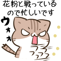 moving unmotivated cat Sticker spring