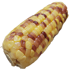 食物系列 : 一些玉米 #15