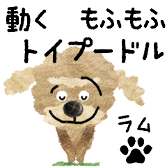 TOY POODLE "RUM" MOVE STICKER