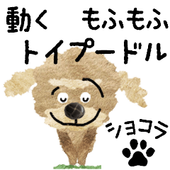 TOY POODLE "chocolate" MOVE STICKER