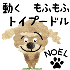 TOY POODLE "NOEL" MOVE STICKER