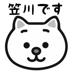 Kasagawa white cats sticker