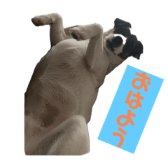 longpeaceman_20240314181345