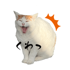 Sakura_20240314182022