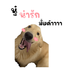 Saendee_20240314224101