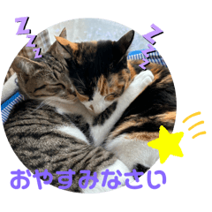 michiko_20240315110721