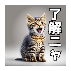 nekomaru_20240314150131