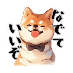 Shiba Inu loved by its owner