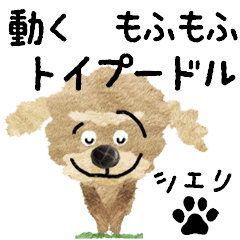 TOY POODLE "Shelle" MOVE STICKER
