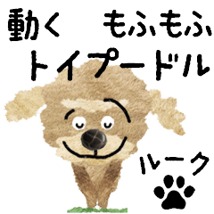 TOY POODLE "rook" MOVE STICKER