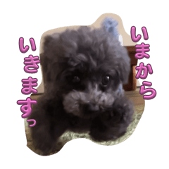 Sakura_20240315162307