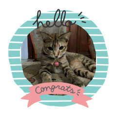 Sakura_20240315203913