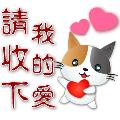 Cute  Calico cat--practical phrases