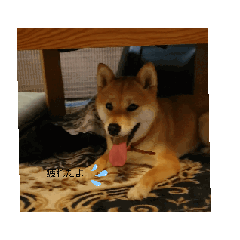 chisa_20240315193050