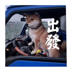 嗨嗨嗨吃肉乾