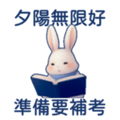cute rabbit hates studying