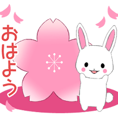 Ruki-rabbit2-pop