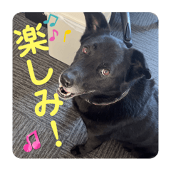 yuusyan_20240315204836