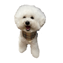 kichi_20240315200414