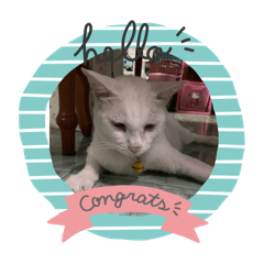 Sakura_20240316084927