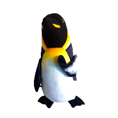 ginpen