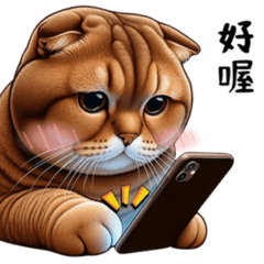 Chubby AI Cat Moco(taiwanese)